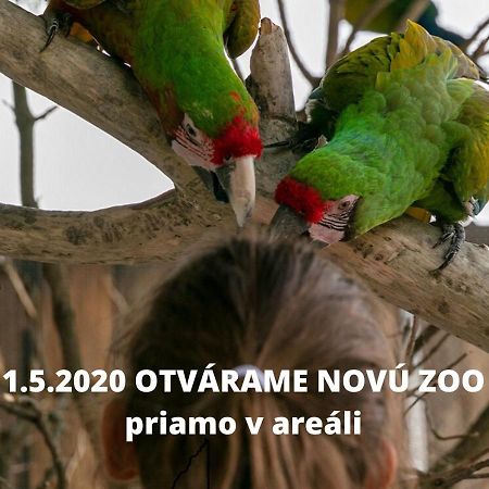 Penzion Eko Park Piestany Kültér fotó