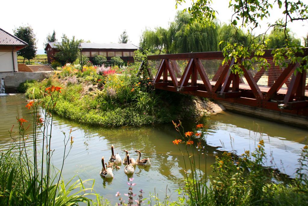 Penzion Eko Park Piestany Kültér fotó