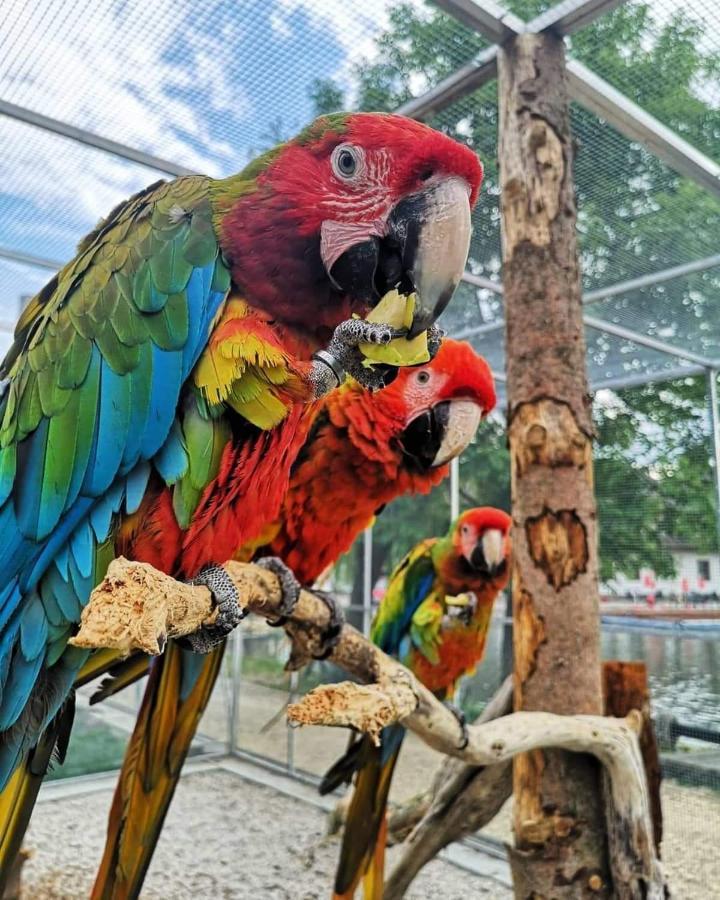 Penzion Eko Park Piestany Kültér fotó